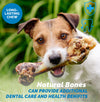 Pork Bones  -  Premium Meaty Full pork femur bones for Dogs (1 or 2 Count) by 123 Treats