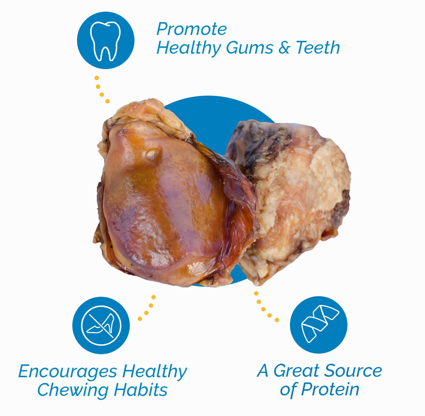Beef Knee Caps for Dogs (3, 10 and 30 Count) 100% Natural Dog Bones | Top Quality Beef Chews