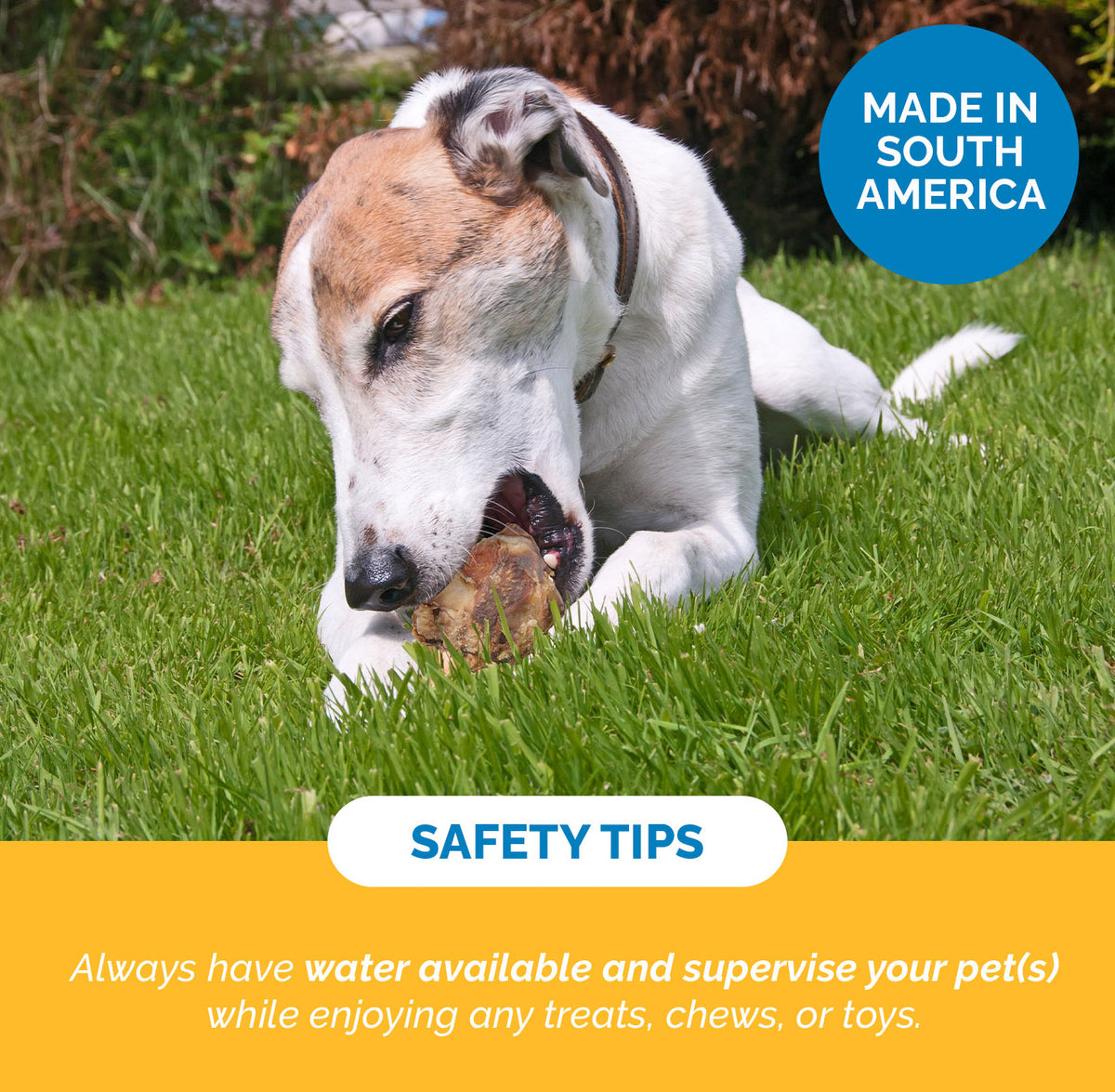 Beef Knee Caps for Dogs (3, 10 and 30 Count) 100% Natural Dog Bones | Top Quality Beef Chews