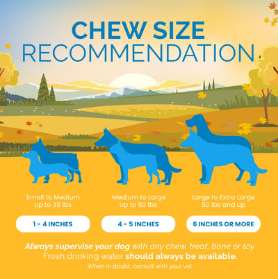 8 oz or 1 pound Assorted Dog Chews Bulk Delicious Natural Chews for Dogs - Mix dog treats from 123 Treats
