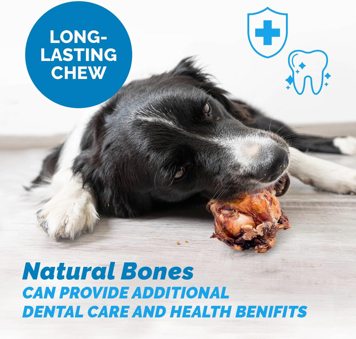 Beef Knee Cap Bone Chews for Dogs - Made in USA