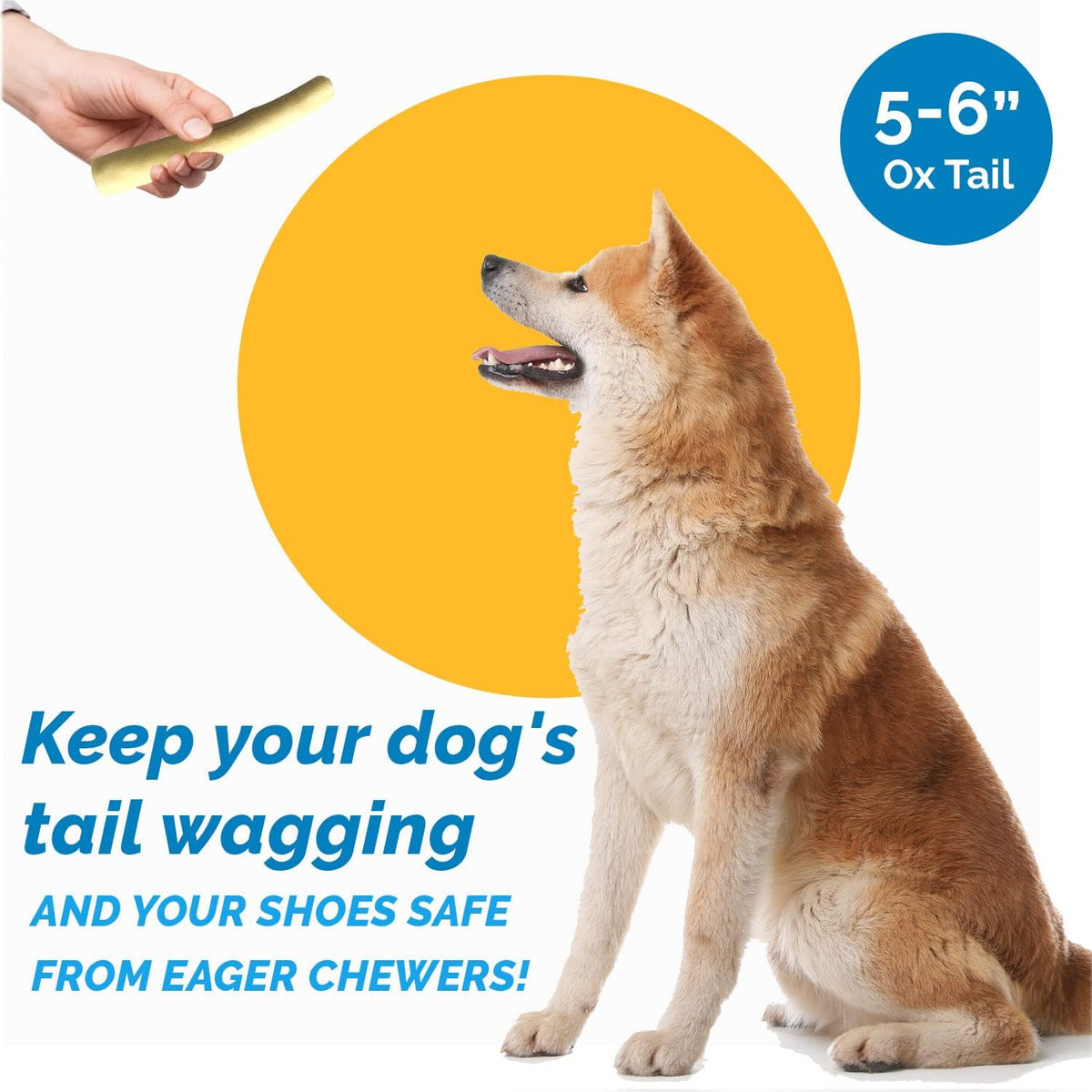 Beef Bull Tail 5-6 inches - 15 count