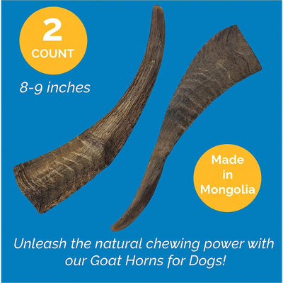 Dried Goat Horns Chews Medium or Large -  2 count