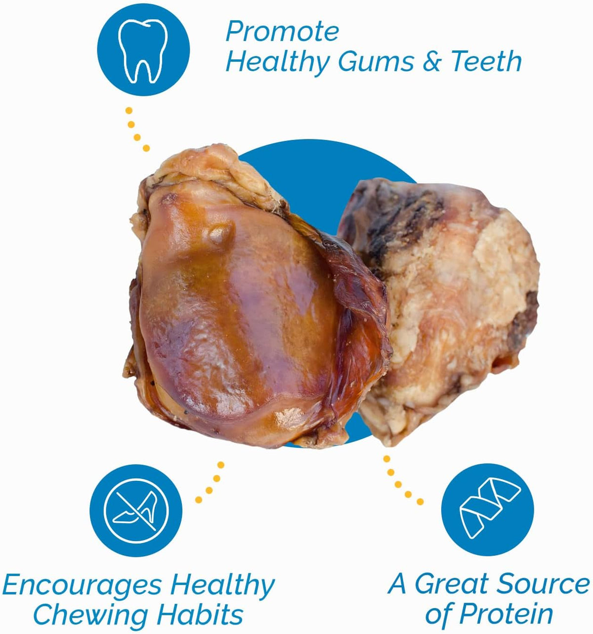 Beef Knee Cap Bone Chews for Dogs - Made in USA