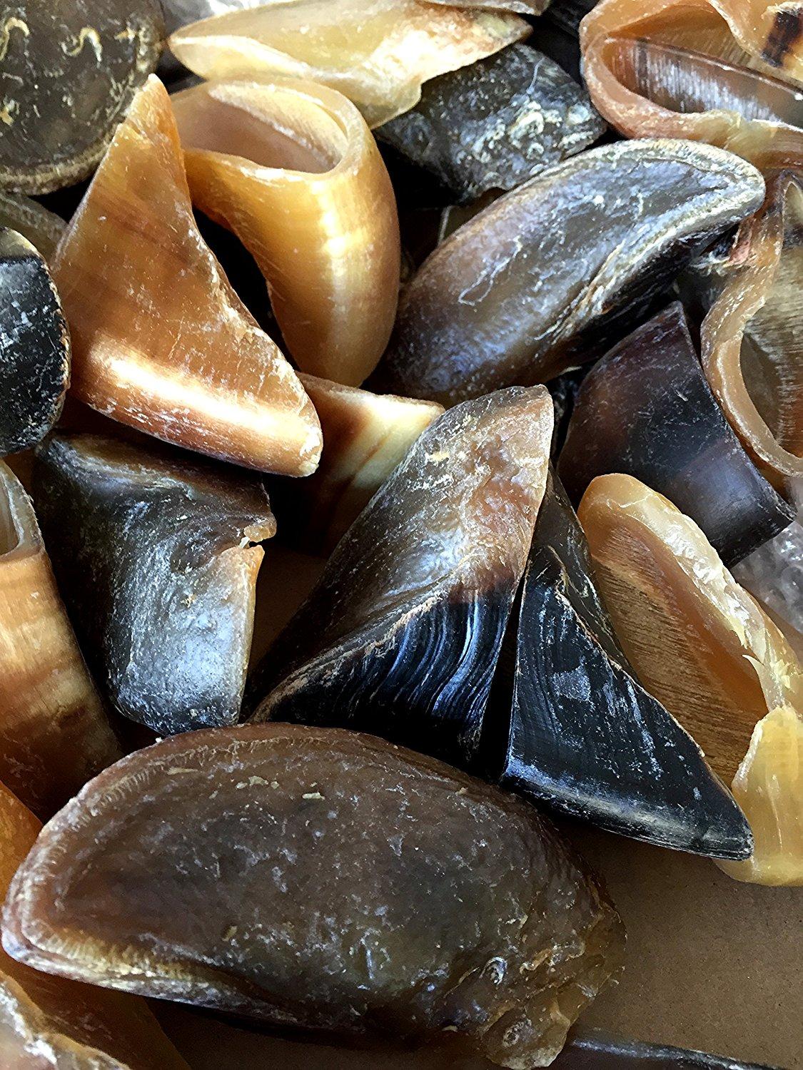 HOOVES for Dogs 10, 25 or 50 Count | 100% Natural Long-lasting Dental dog Chews made from Beef Hoof From 123 Treats