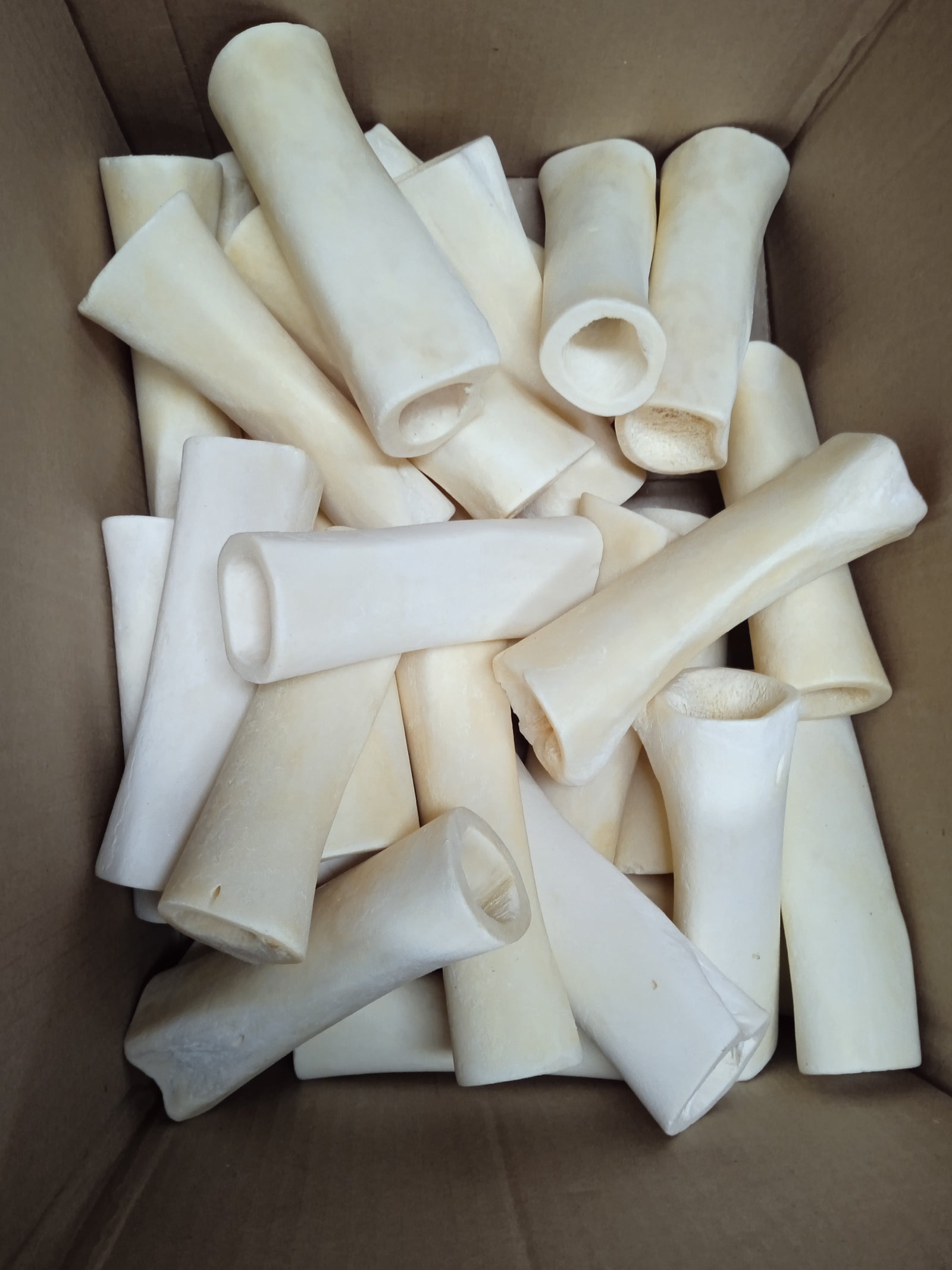 123 Treats Bleached Beef Femur 5-6" — Case of 50