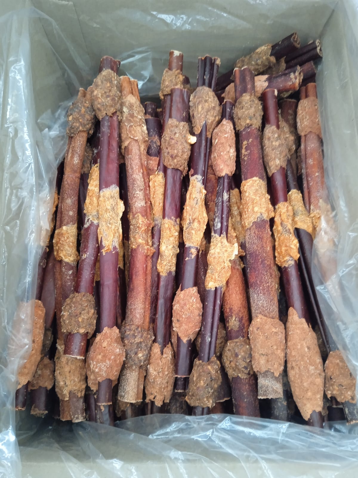 123 Treats Corium Kabob 6" — Case of 200