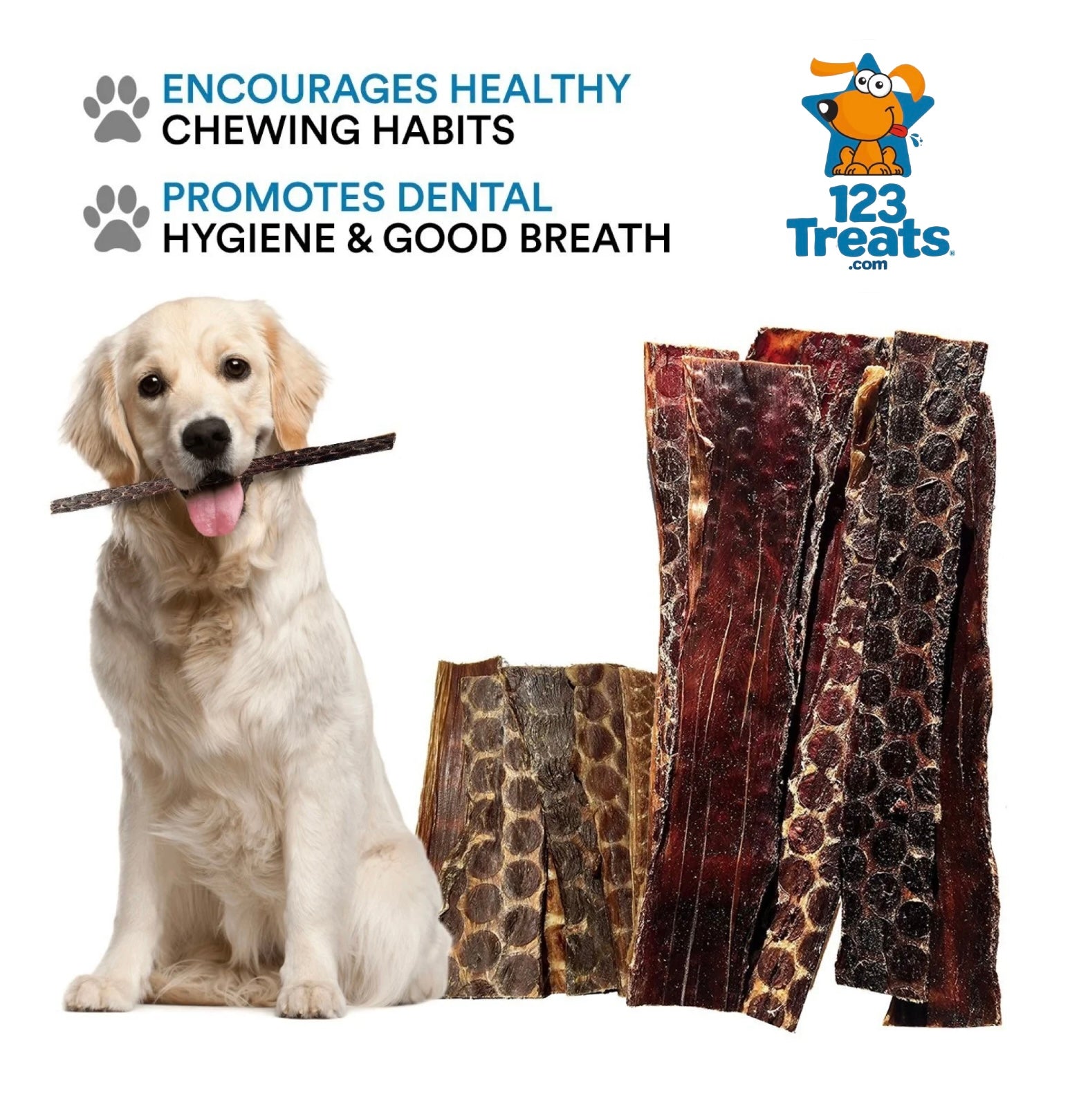 Beef Gullet Chews for Dogs (10-12 inches - 20 Count) All Natural Beef Treats