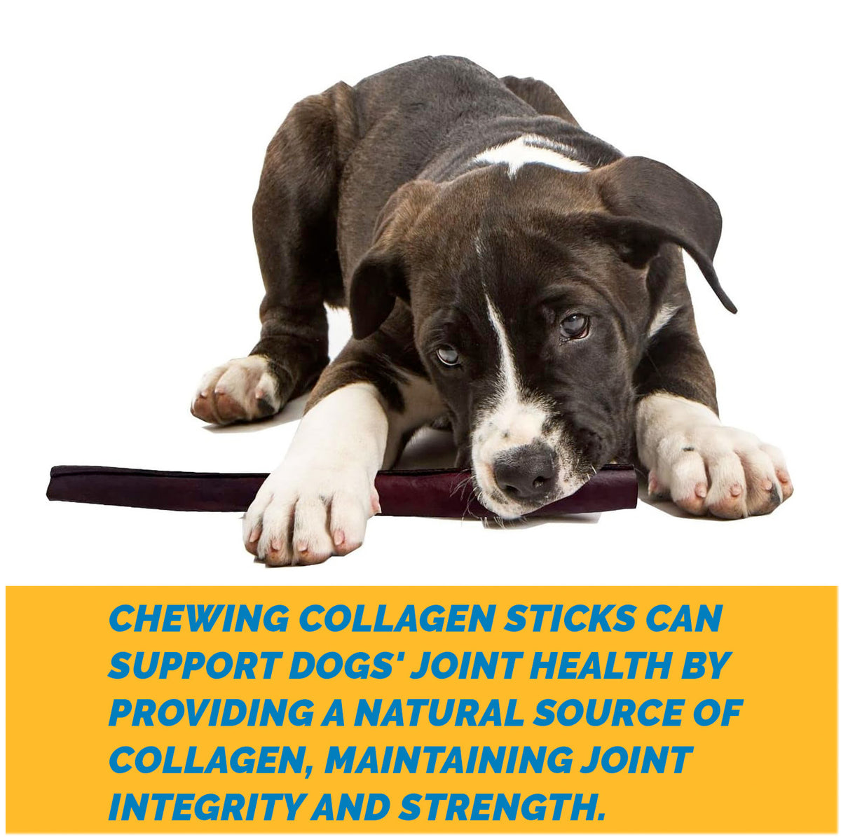 Collagen Chew Sticks for dogs  - 100% Collagen chews by 123 Treats