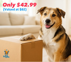 Pet Bundle Box: A Fun and Delicious Gift Set / Starter Kit for Your Furry Friends