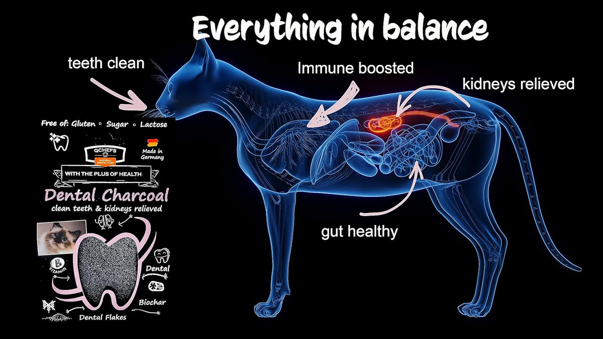 QCHEFS Dental Charcoal for Cats – Two Month Supply* - Food Topper - After Meal Licking Treat, Oral Health Snack with Amino Acids.