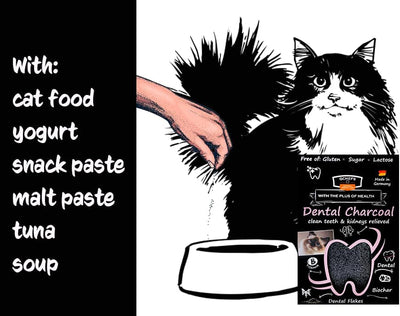 QCHEFS Dental Charcoal for Cats – Two Month Supply* - Food Topper - After Meal Licking Treat, Oral Health Snack with Amino Acids.