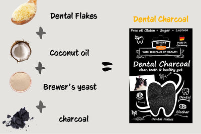 QCHEFS Dental Charcoal for Dogs – One Month Supply* - Food Topper - After Meal Licking Treat, Oral Health Snack with Amino Acids.