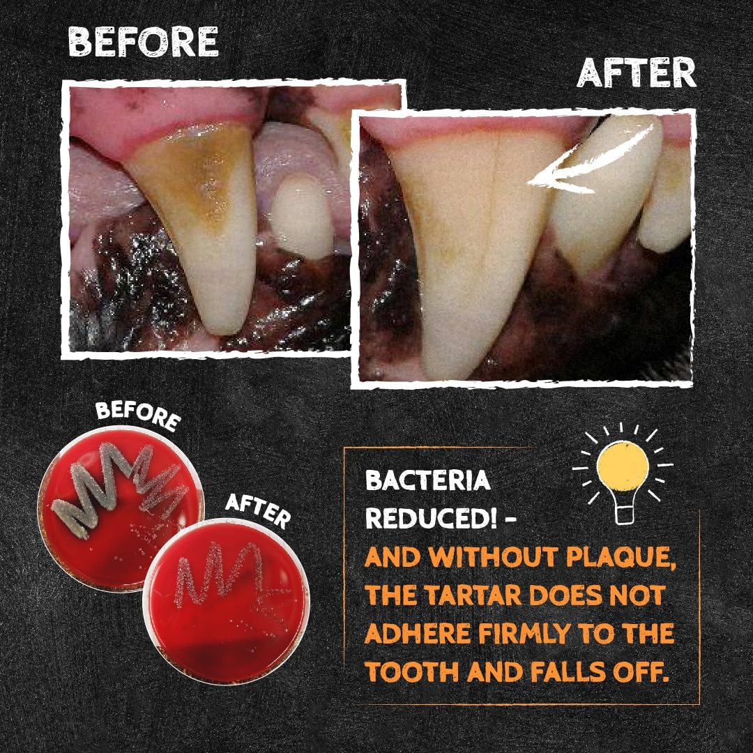 Qchefs Sizzles for Dogs - One Month Supply* - Oral Health Snack with Amino Acids