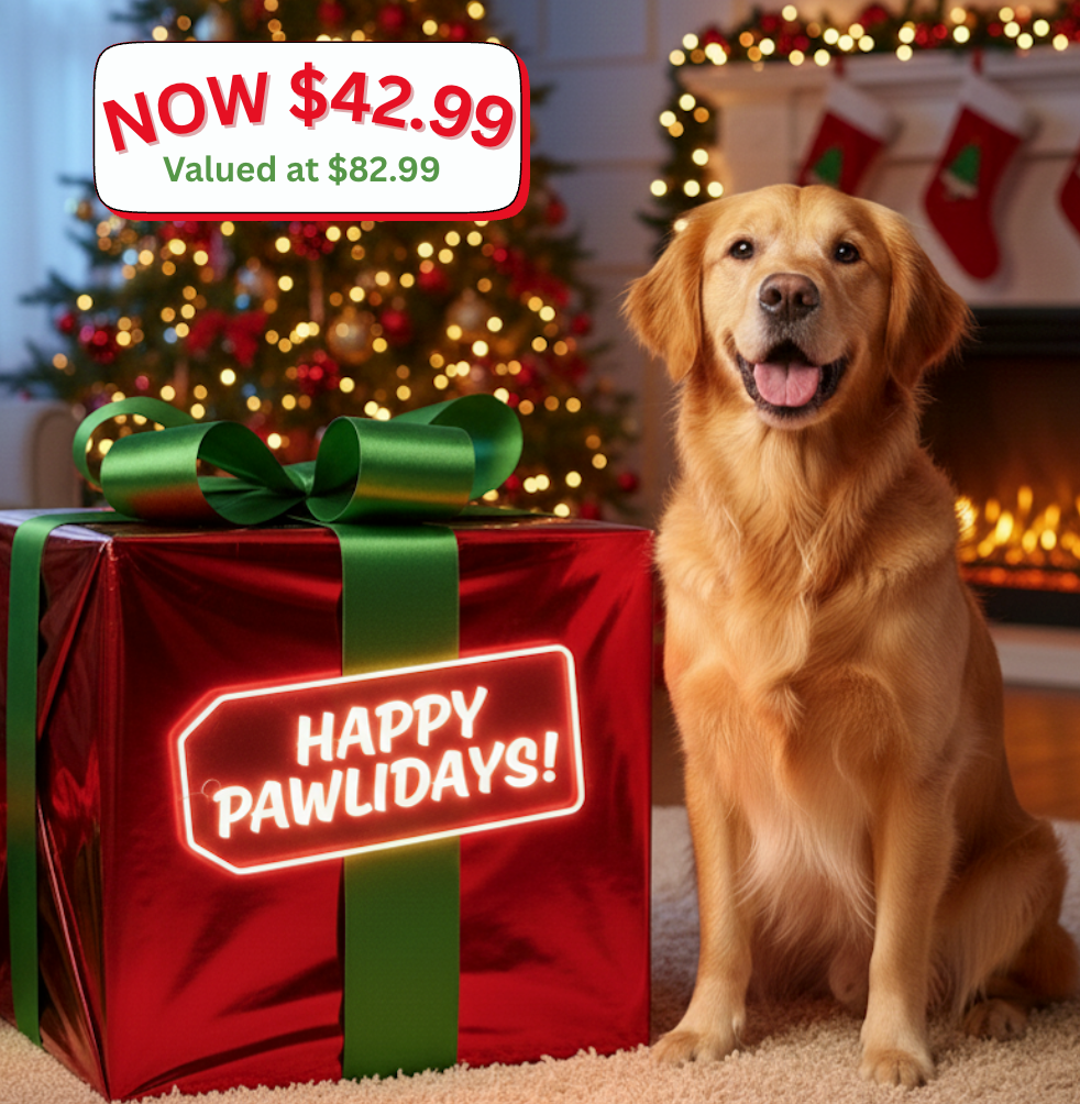 Pet Bundle Box: A Fun and Delicious Gift Set / Starter Kit for Your Furry Friends