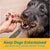 3", 6" or 12” Trachea chews for Dogs | 100% Natural Beef Chew | from Free-Range Cattle