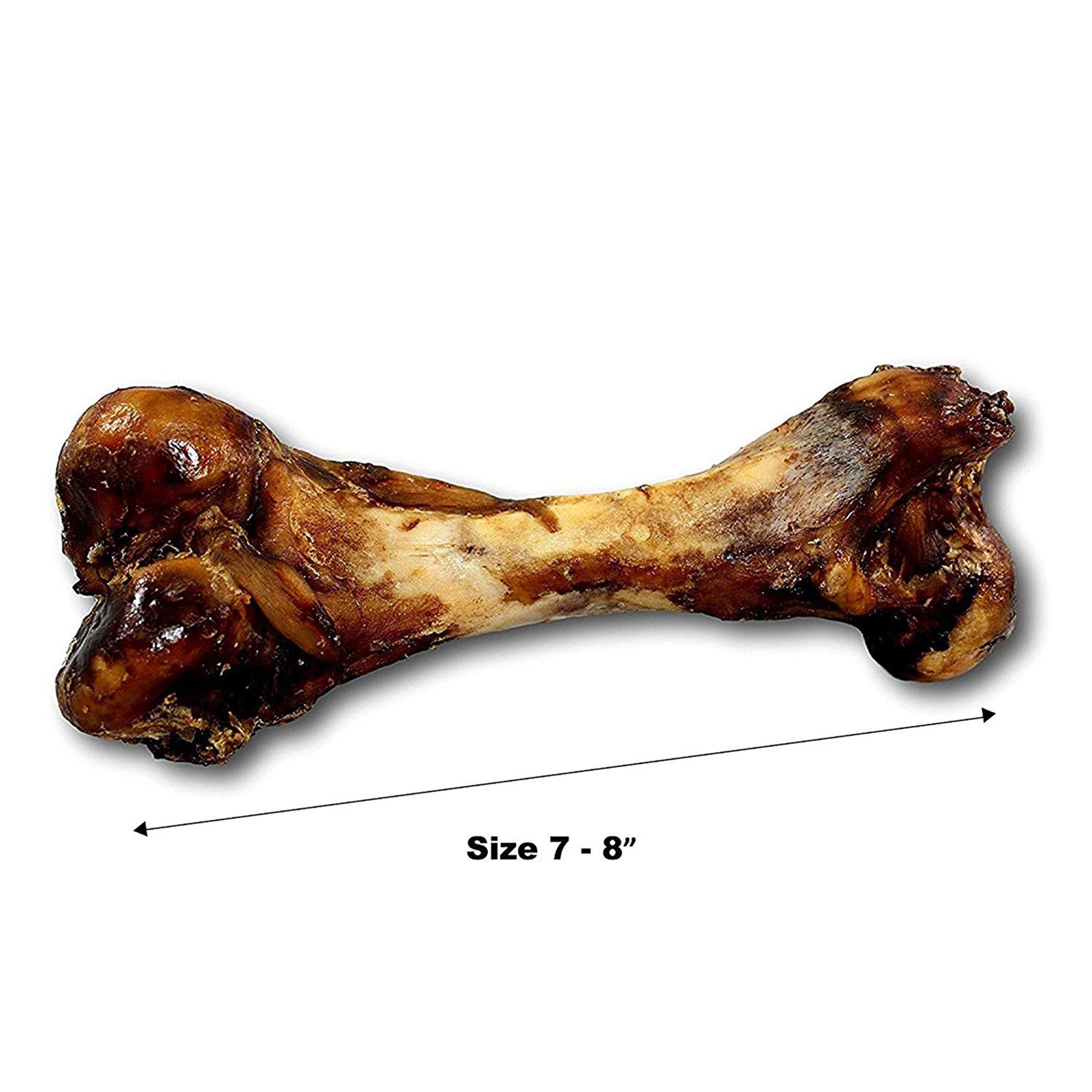 Pork Bones  -  Premium Meaty Full pork femur bones for Dogs (1 or 2 Count) by 123 Treats