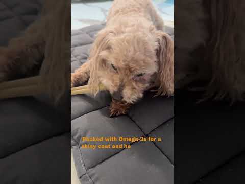 Fish Sticks Rolls For Dogs - 6 Inches (30 Count) | Premium Natural Fish Dog Treats - Healthy & Delicious