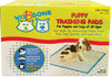 Wiz B Gone 100 Pack Puppy/Adult Training Pads 22 X 22 inches
