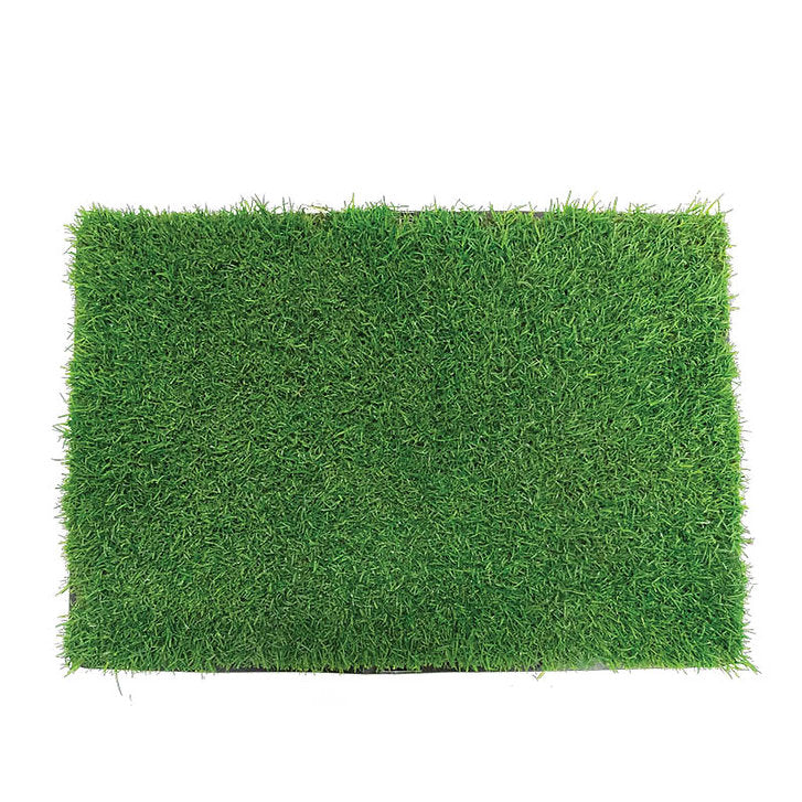 Gotta Go Grass with tray 16″ x 24″
