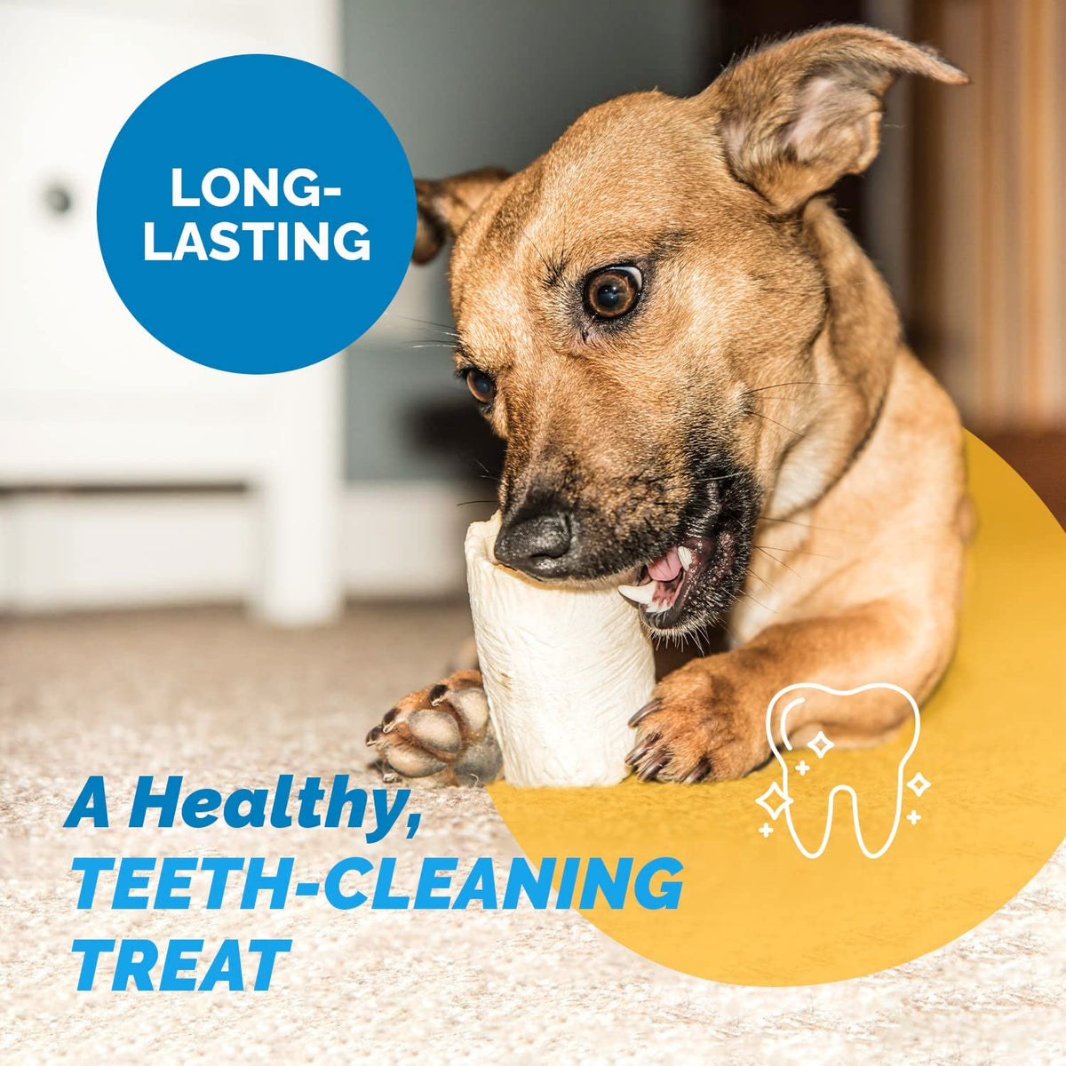 Stuffed Shin BONES for dogs 5-6 inches with Peanut Butter Flavor 2 or 4  Count