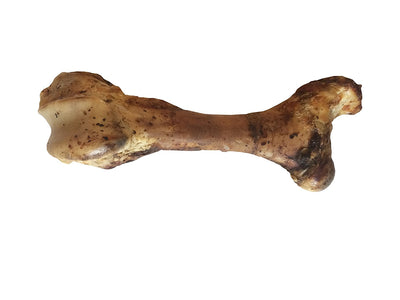 Giant Femur Bone 16 - 18" - Mammoth Dog Bones for Aggressive Chewers