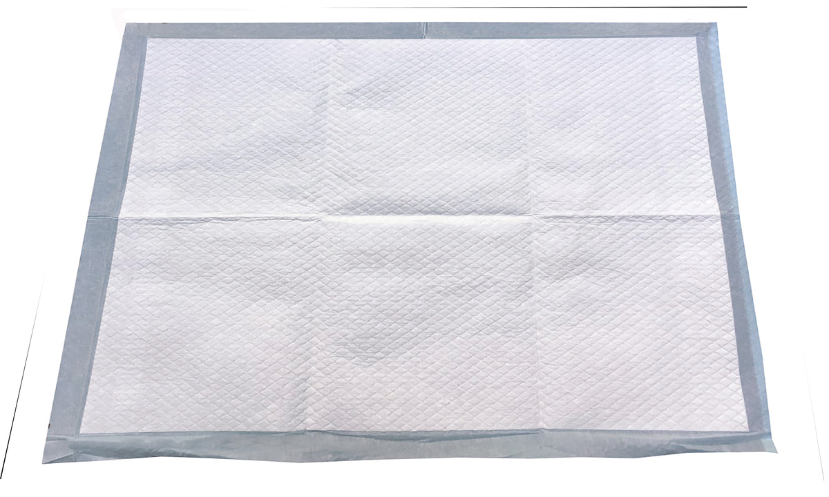 Wiz B Gone 100 Pack Puppy/Adult Training Pads 22 X 22 inches