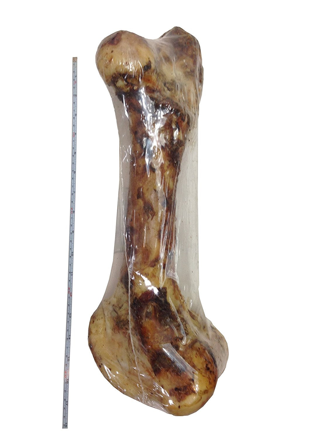 Giant Femur Bone 16 - 18" - Mammoth Dog Bones for Aggressive Chewers