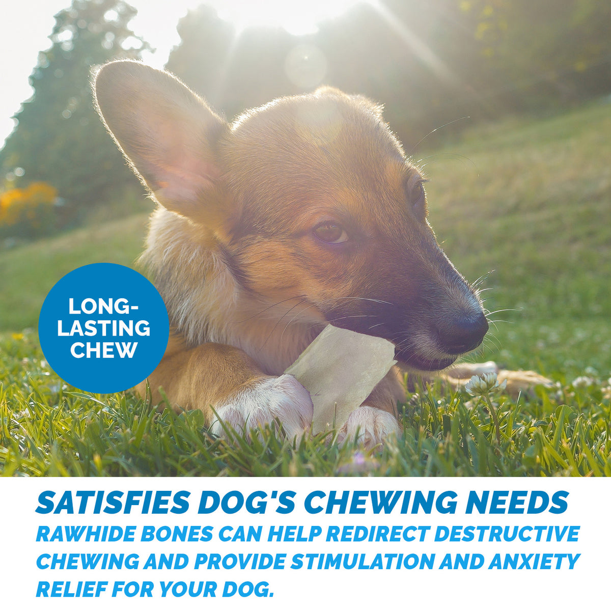 Natural Rawhide Chews for Dogs (1,2, 3, 6 and 11 Lbs) Beef Hide Chips by 123 Treats