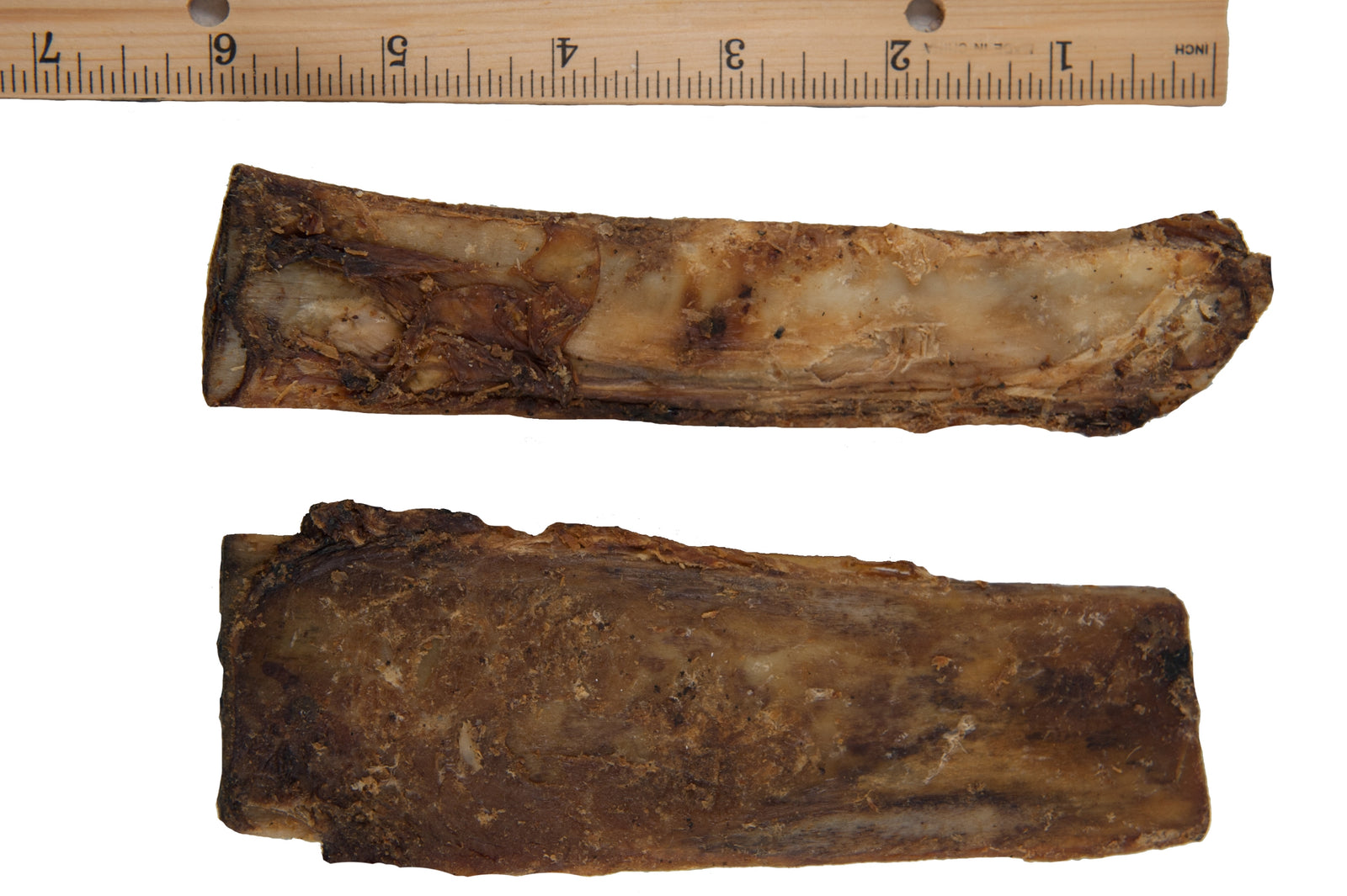 Beef Rib Bones for Dogs – 5-6" Natural Gourmet Treats (8 Ct)