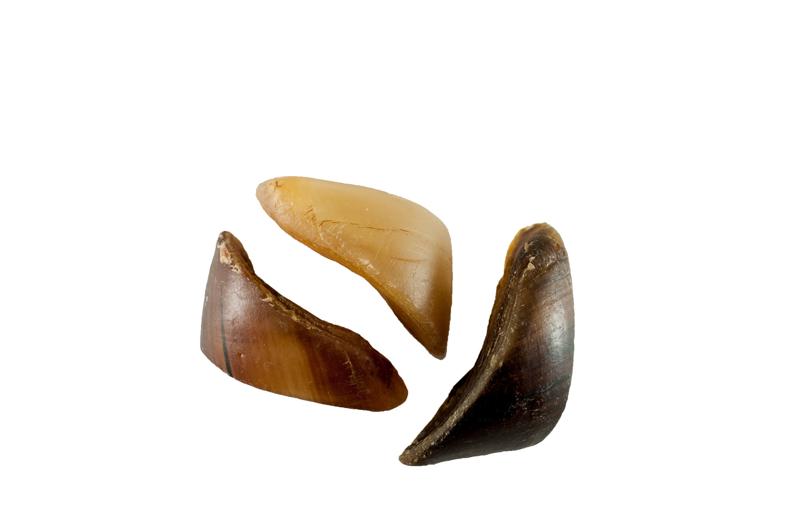 HOOVES for Dogs 10, 25 or 50 Count | 100% Natural Long-lasting Dental dog Chews made from Beef Hoof From 123 Treats