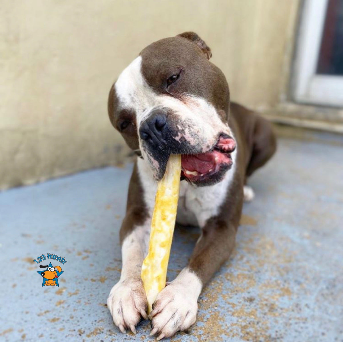 9-10 inches Rawhide with Chicken Retriever Roll Delicious Dog Stick Chews