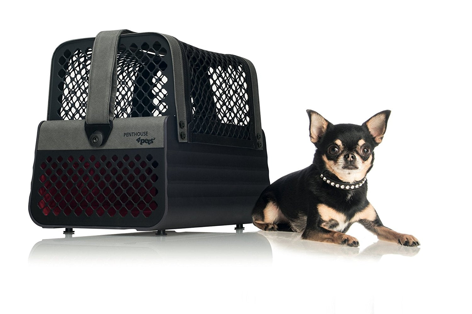 Montreal - Crash Tested Dog Carry on for Small Dogs | Safe Transportation of Small Dogs in a Car | Safe Dog Carrier | 4 Pets