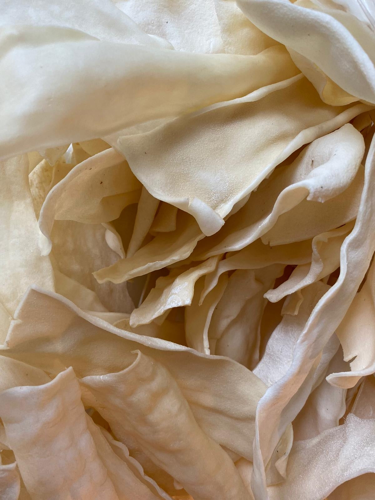 Rawhide Chips Dog Chews chips 100% Natural Rawhide Dog Treats 5 Lbs