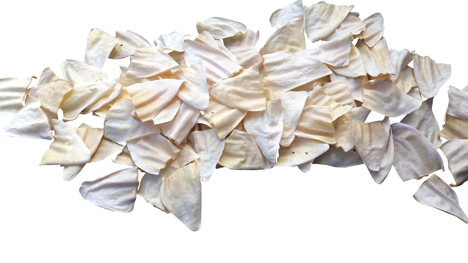 WHITE COW EARS for Dogs 10, 20, 50, 100 or 200 Count | 100% Natural Large Cow Ears Bulk Dog Treats